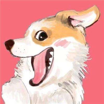 神之羽翼手游下载
