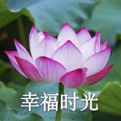 龙城屠斩手游(暂未上线)v1.2 安卓版