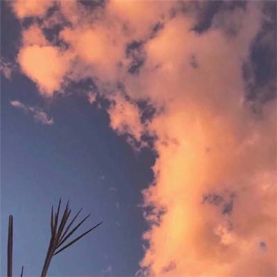 命运之夜游戏手机版下载